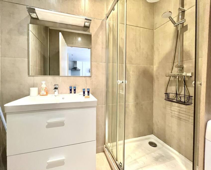 Apartment Le Festival, T2 Proche Croisette *